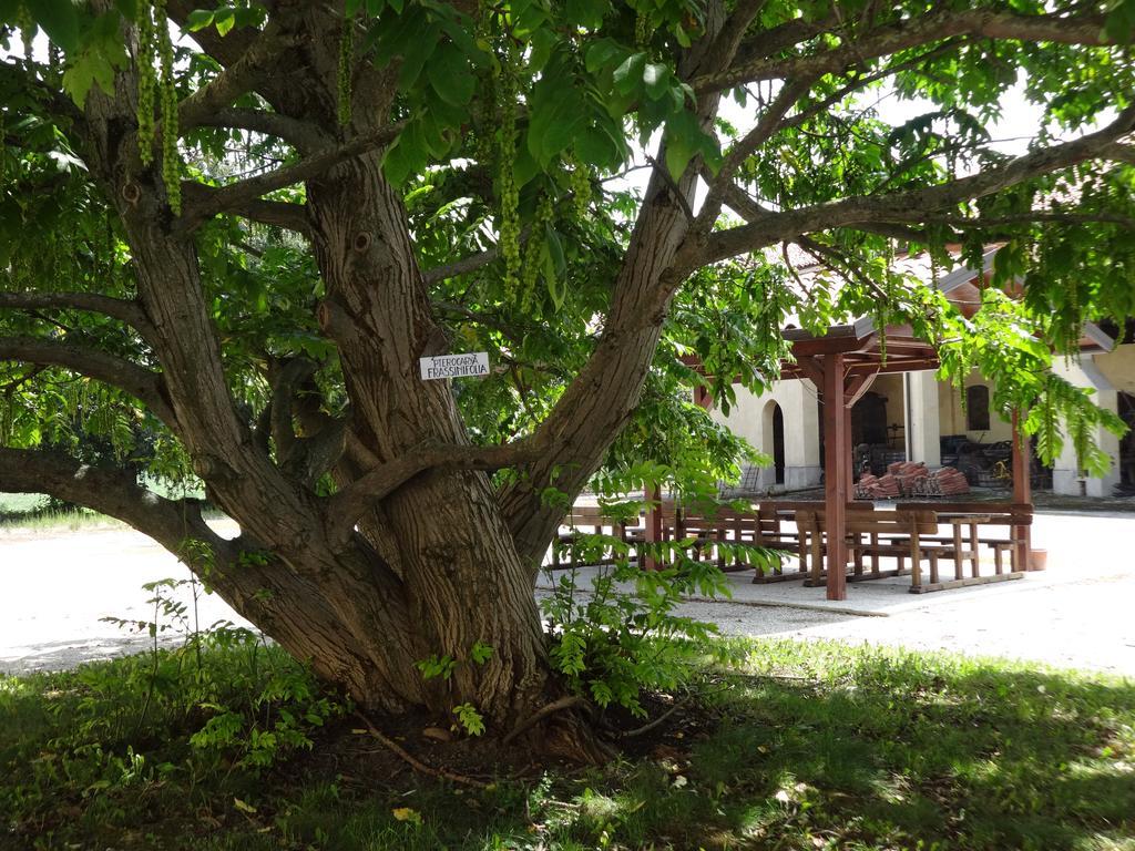 Agriturismo Rivieraoglio Piadena Eksteriør bilde