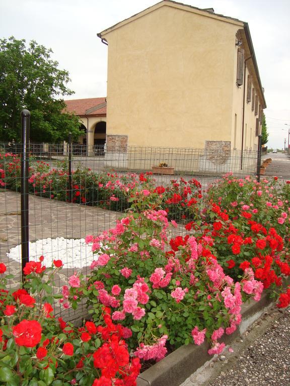 Agriturismo Rivieraoglio Piadena Eksteriør bilde
